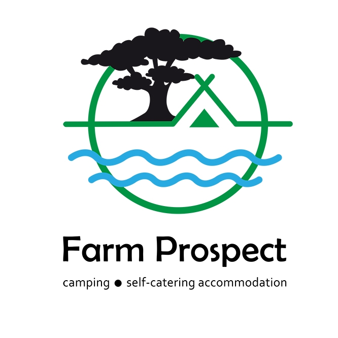 We all deserve a break from reality